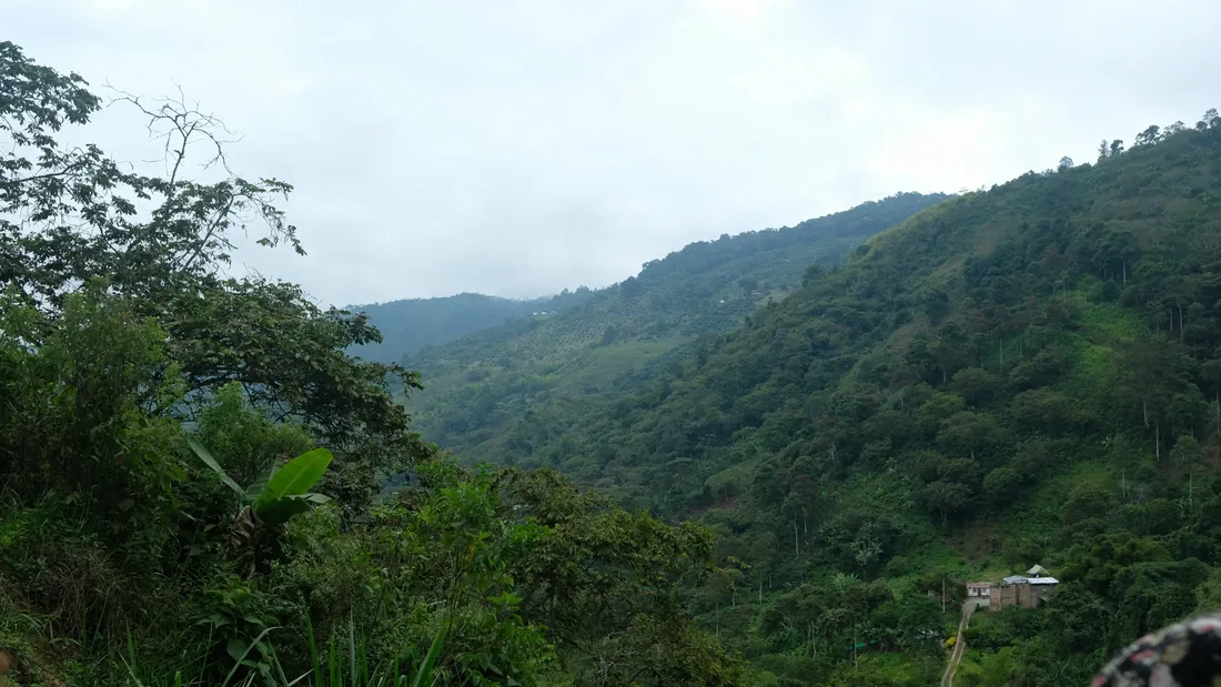 Paisaje del valle de Pijao, Quindío